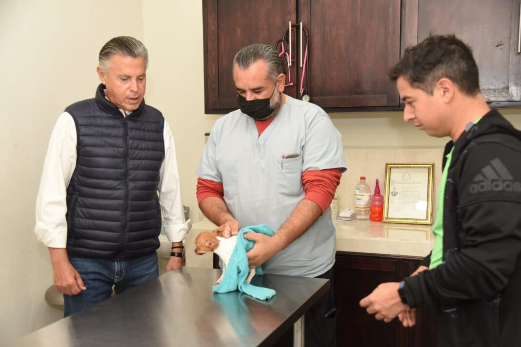Impulsa Chucho Nader Programas y Servicios de la Clínica Veterinaria Municipal