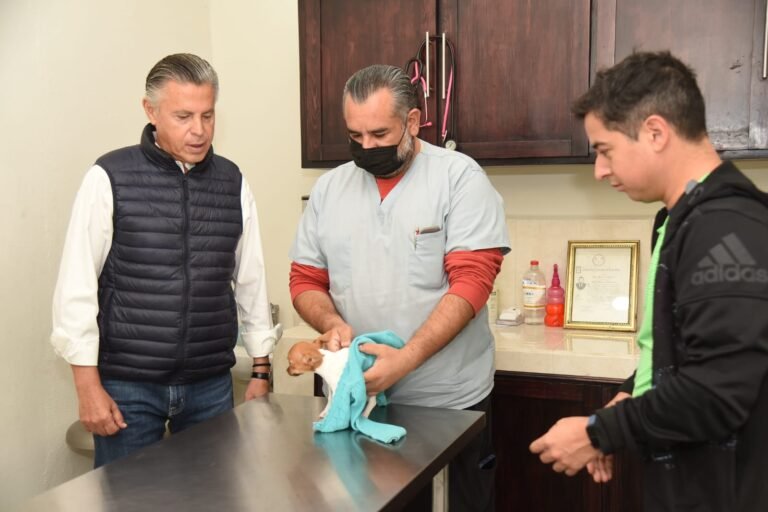 Impulsa Chucho Nader Programas y Servicios de la Clínica Veterinaria Municipal