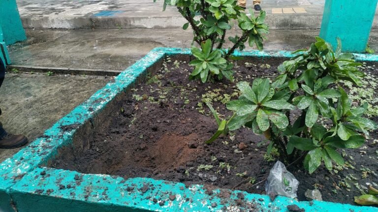 Extraño olor se desprende en escuela primaria de Benito Juárez Altamira