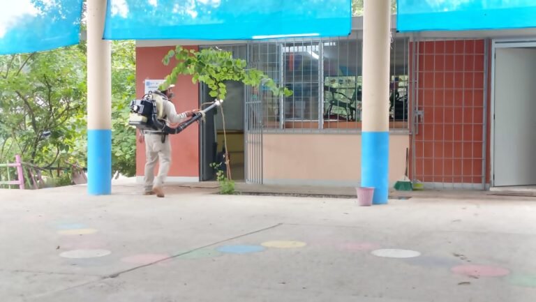 Fumigan contra el dengue en varias escuelas