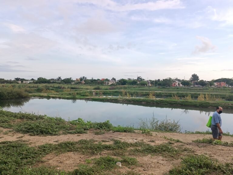 LUEGO DE 50 AÑOS, SALE DUEÑO DE LAGUNA DE OXIDACIÓN EN ALTAMIRA