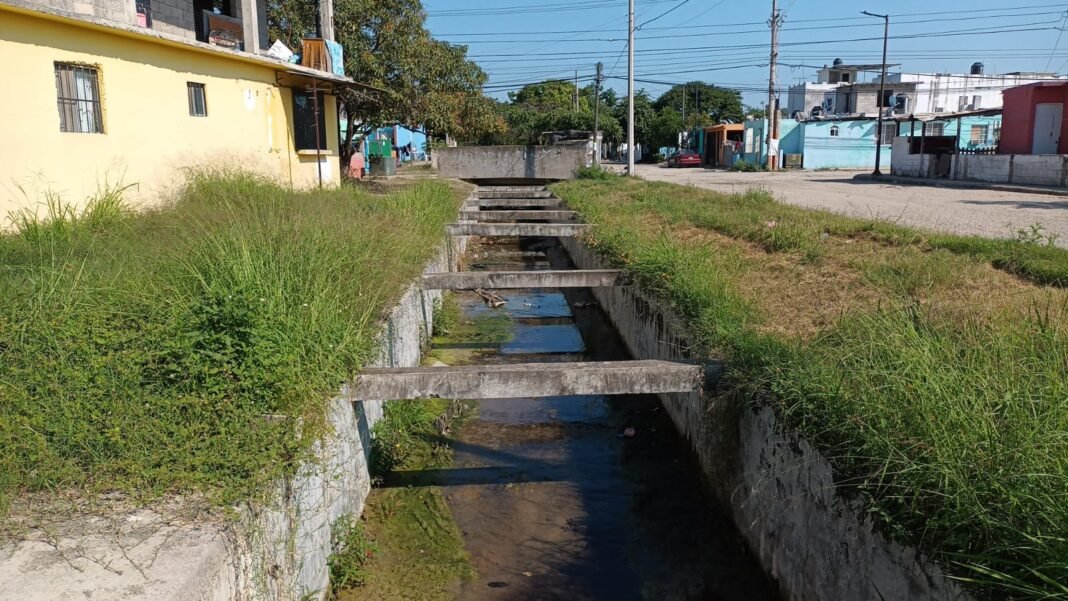 En Altamira, Niños juegan con cocodrilos