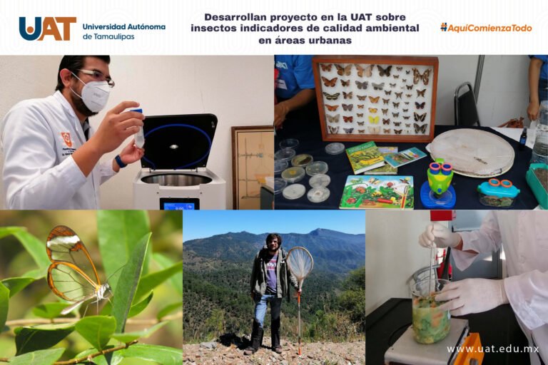 Desarrolla UAT proyecto sobre insectos indicadores de calidad ambiental en áreas urbanas