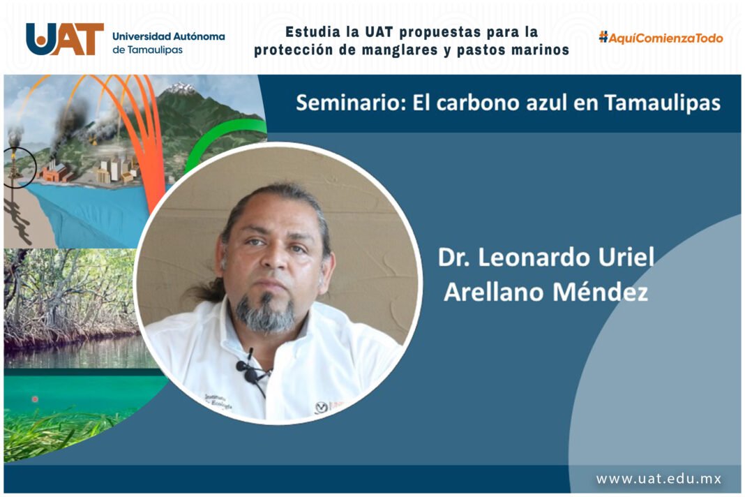 <strong>Estudia la UAT propuestas para la protección de manglares y pastos marinos</strong>