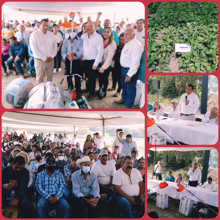 ENTREGAN INSUMOS PARA PRODUCTORES DE HORTALIZAS EN PÁNUCO