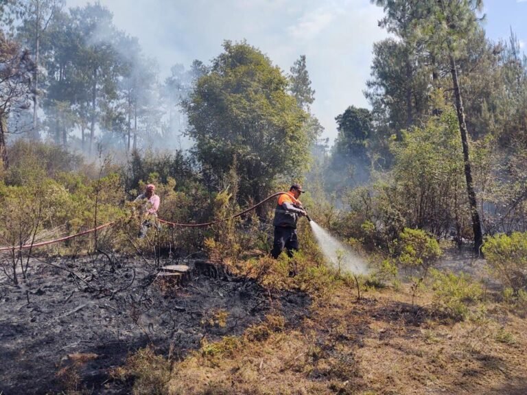 AUMENTARON LOS INCENDIOS FORESTALES EN EL 2022&nbsp;