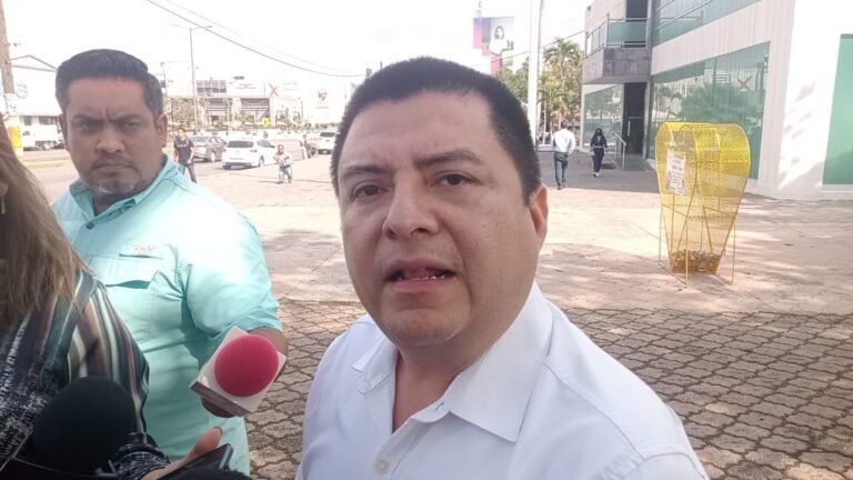 Recolectarán en Plazas Públicas de Madero Pinos Naturales