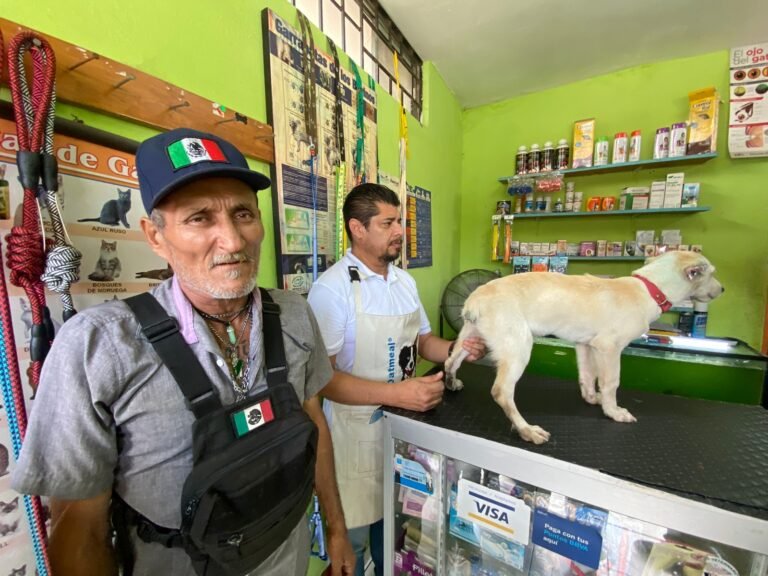 Desalmados mutilan orejas y cola de lomito en Altamira