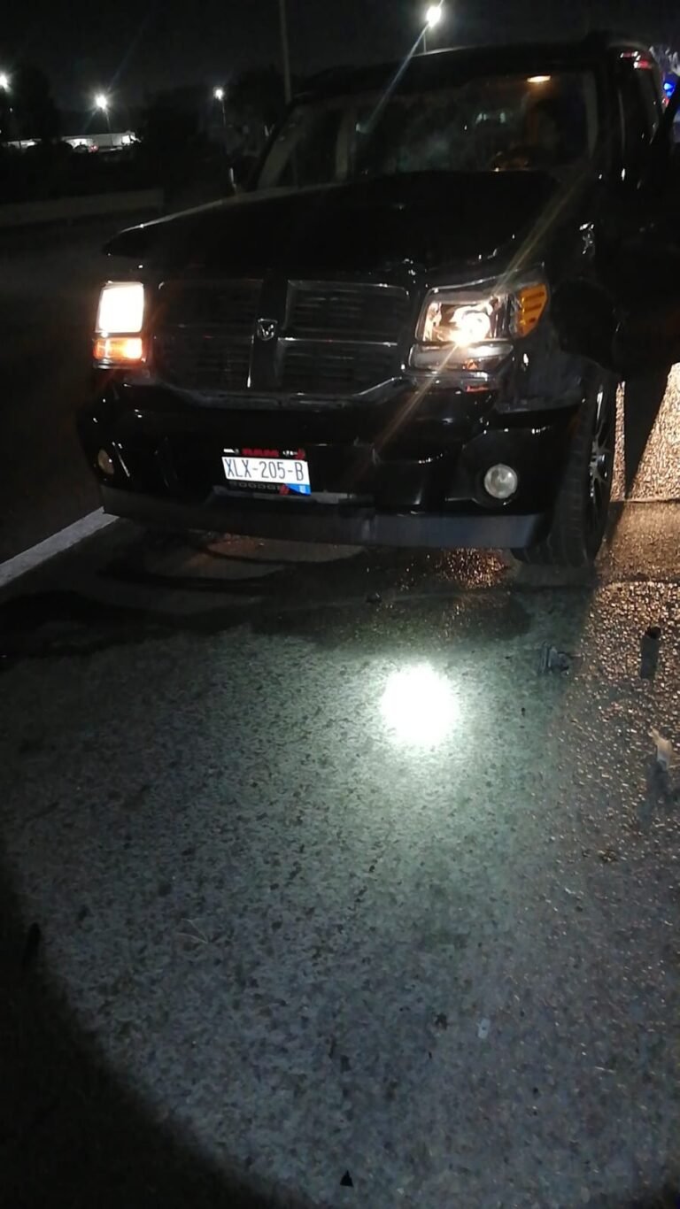 Buscarán sanciones más severas para dueños de vacas que rondan calles y avenidas