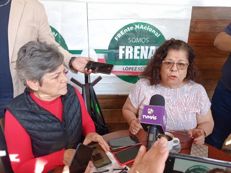 Convoca Frenaa a movilización nacional para el29 de enero en el Zócalo de la Ciudad de México&nbsp;