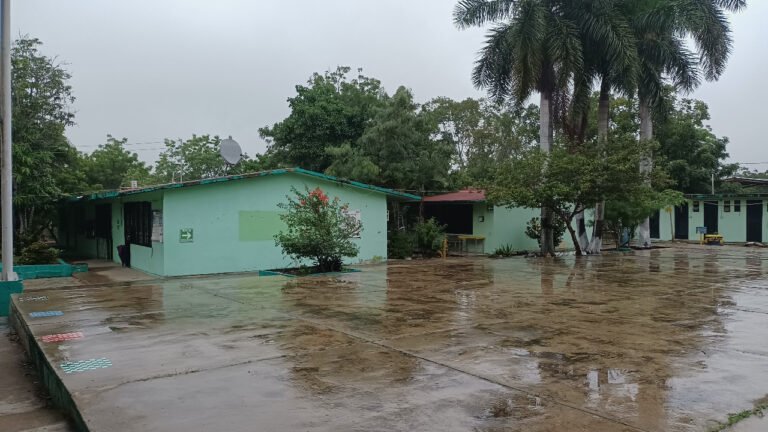 Analizan reubicar escuela “Benito Juárez” en Altamira