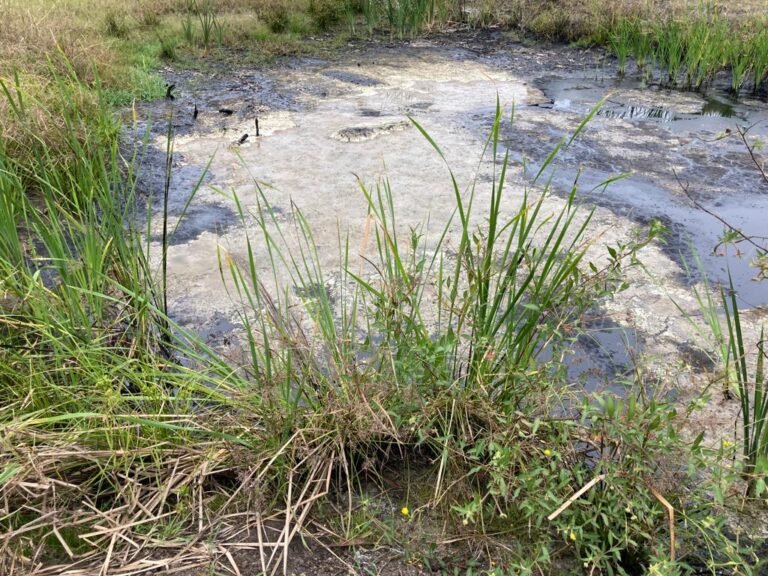 Derrame de hidrocarburo contamina la comunidad de Esteros en Altamira