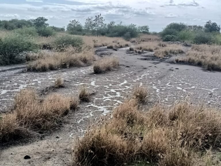 Denuncian ante la Profepa a Pemex por derrames de crudo