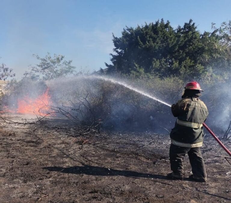 Moviliza cuerpos de emergencia incendio en Altamira