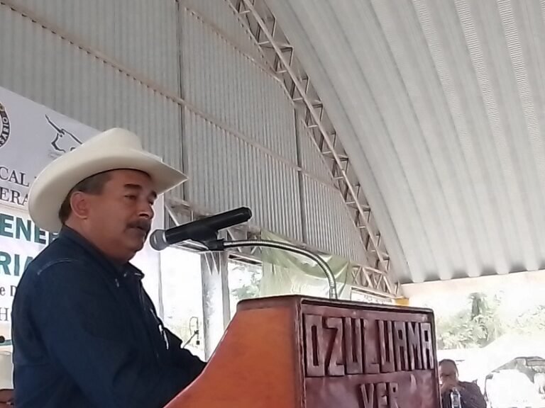 RINDE JORGE LUIS DEL ANGEL, VERAZ INFORME DE LA AGL DE OZULUAMA