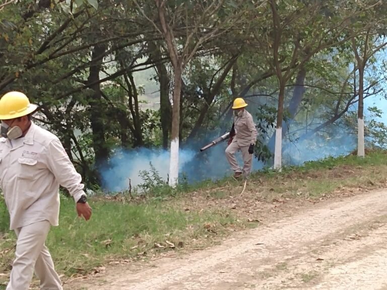 INICIAN LABORES DE FUMIGACION EN SITIOS RECREATIVOS DE TEMPOAL