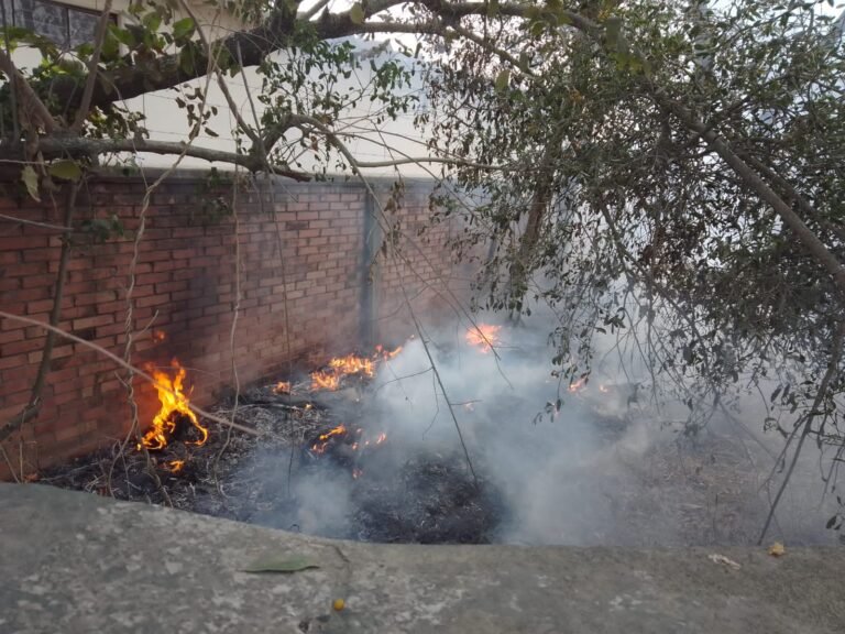 Quema de basura y medicamentos caducos se sale de control en Altamira