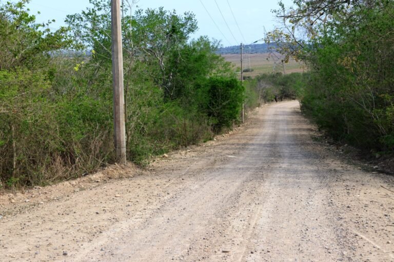 INTENSA REHABILITACIÓN DE CAMINOS  RURALES EN PÁNUCO