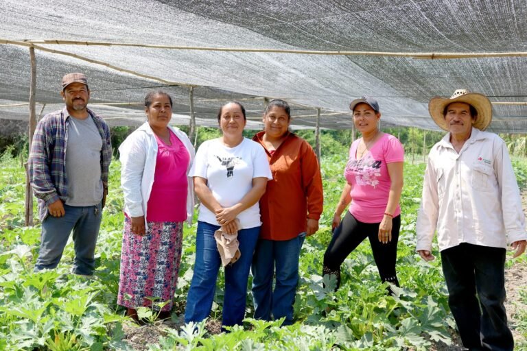 RENOVADO IMPULSO AL CAMPO CON  PROGRAMAS PRODUCTIVOS: OSCAR GUZMÁN  DE PAZ