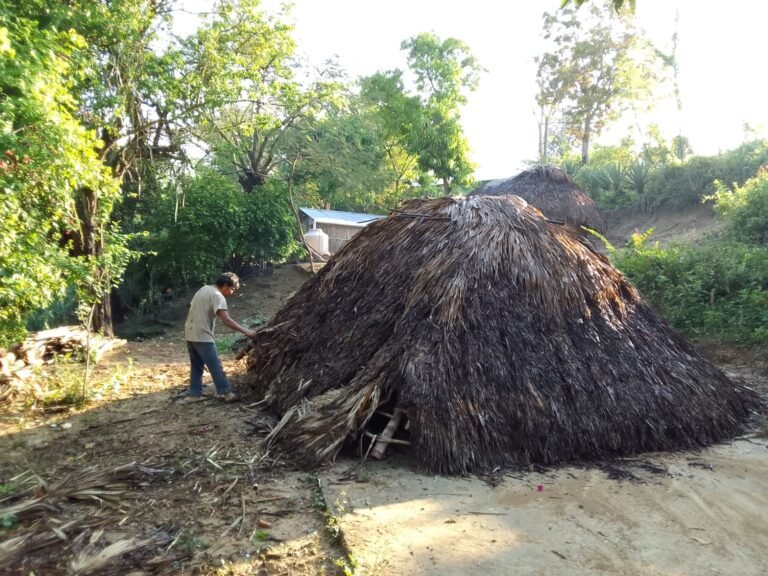 Afectadas familias por tormenta en Tantoyuca