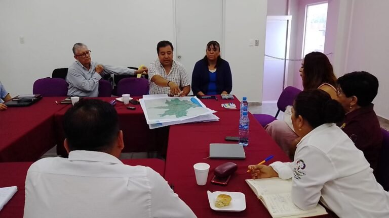 VAN POR ORDENAMIENTO TERRITORIAL Y URBANO EN PUEBLO VIEJO