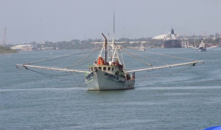 Gestiona diputado apoyo urgente para pescadores de Tamaulipas