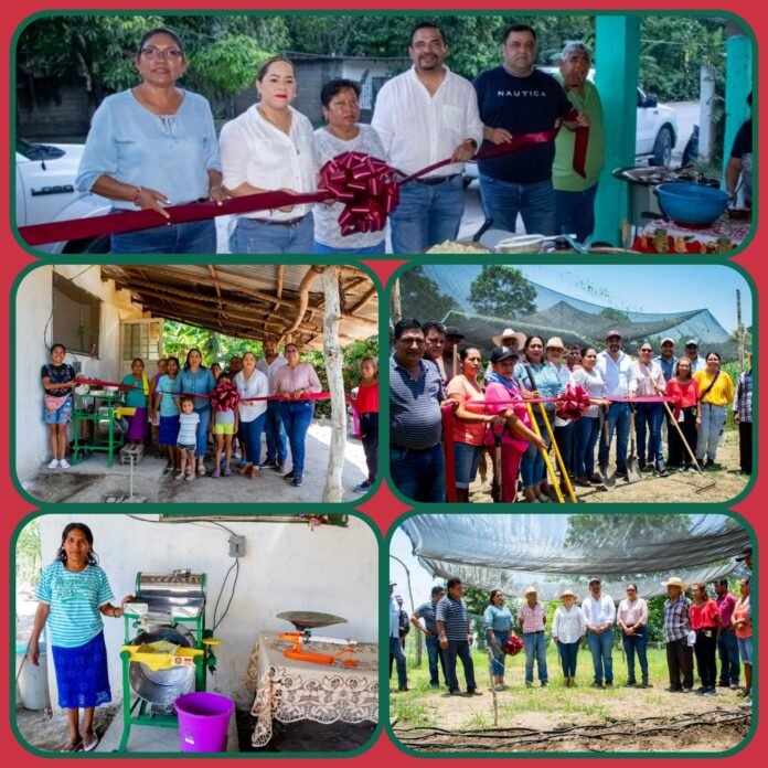 GridArt_20230621_075601440