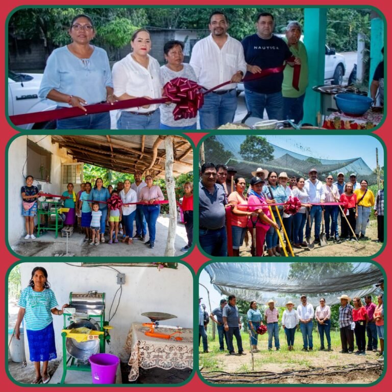 MÁS HIGUENSES BENEFICIADOS CON PROYECTOS PRODUCTIVOS