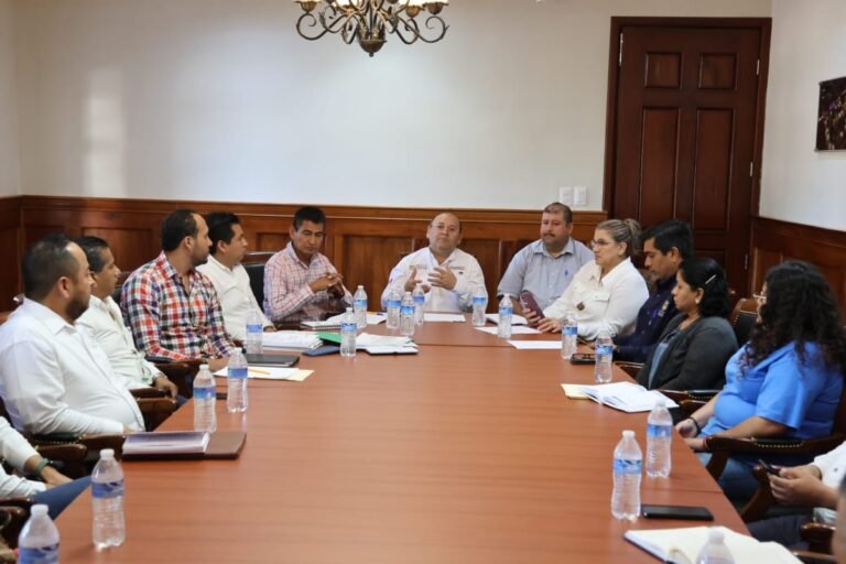 INTERVIENE ALCALDE DE PÁNUCO ANTE CFE PARA MEJORAR SERVICIO ELÉCTRICO