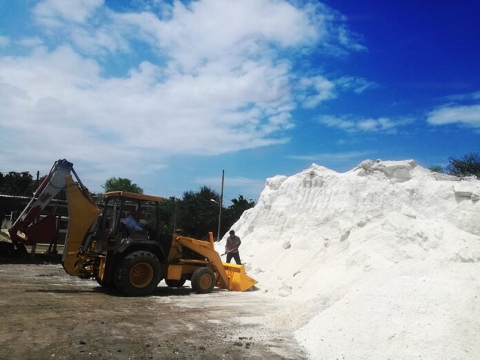 Sal-en-Lomas-de-Real-2