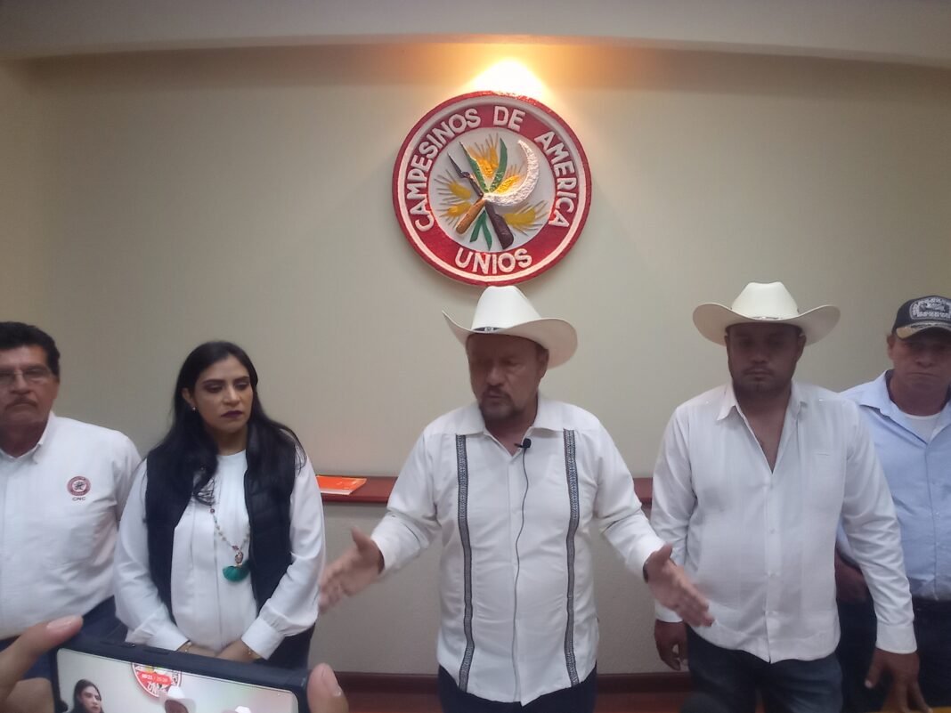Exige la CNC veracruzana al CEN del PRI dé a conocer método y reglas para elegir dirigencia estatal priista