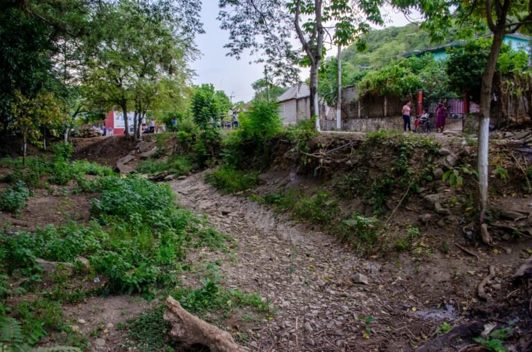 ARRANCA GUILE FLORES MÁS OBRAS DE  BENEFICIO COMUNITARIO