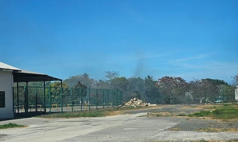 Efecto lupa causa incendio en solar baldío de una hectárea de superficie en Tampico