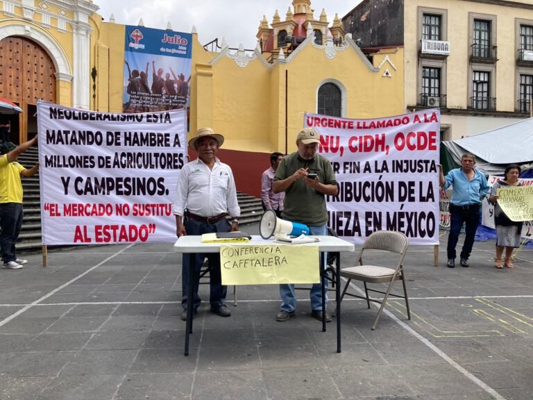 Caerá precio del café en cosecha del 2023