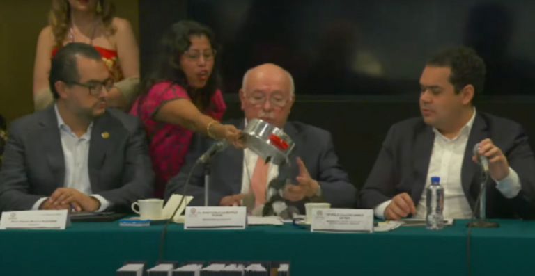 De que la gata es brava…hasta los ratones de la casa exhibe