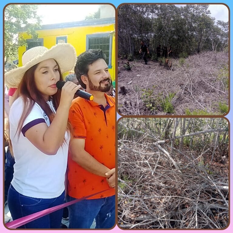 DENUNCIAN DESTRUCCIÓN DE MANGLE EN  PUEBLO VIEJO