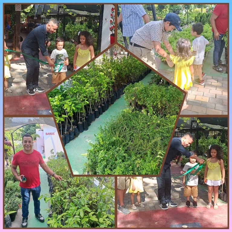 ENTREGARAN 3,800 PLANTAS PARA  REFORESTACIÓN EN TAMPICO ALTO