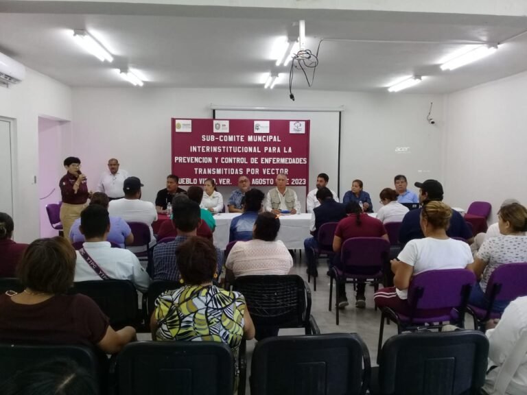 DE LA MANO, AYUNTAMIENTO DE PUEBLO VIEJO  Y SECTOR SALUD TRABAJAN CONTRA EL DENGUE