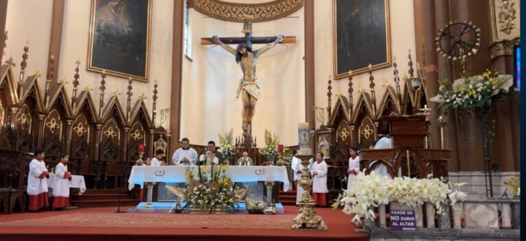 Los mexicanos necesitan un proyecto al servicio  de la persona, sus familias, sus valores y de su historia