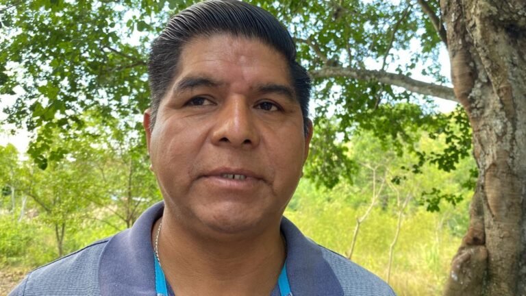 Fumigarán y descacharrizarán escuelas que lo soliciten