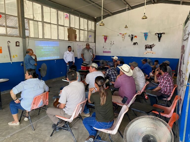 APOYAN A PRODUCTORES RURALES DE PÁNUCO EN LA ELABORACIÓN DE SUPLEMENTOS ALIMENTICIOS.