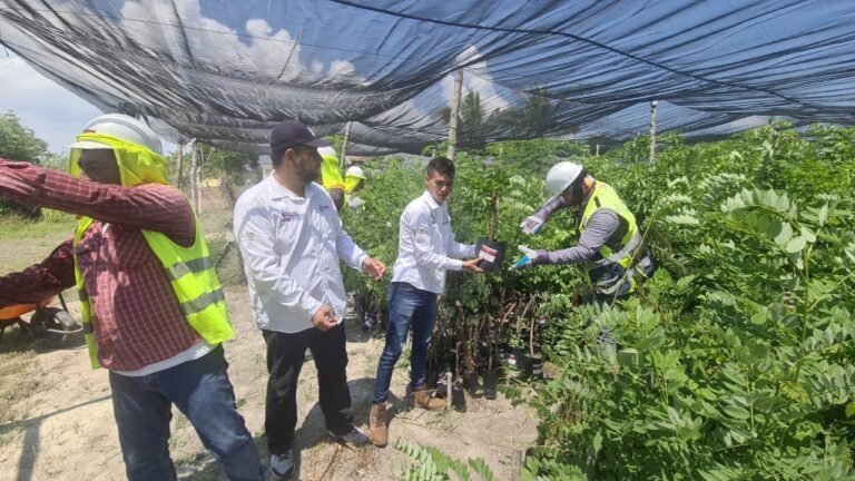 RECIBE TAMPICO ALTO IMPORTANTE DONACION DE PLANTAS