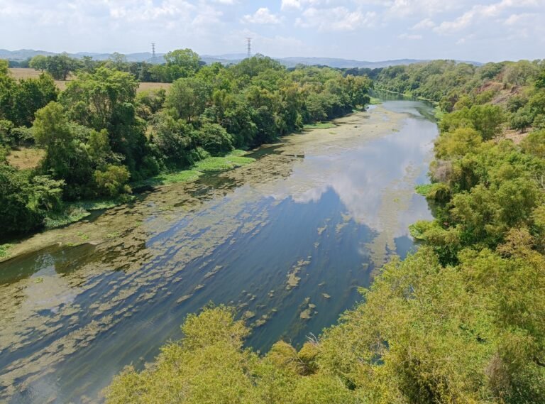 SE SECA EL RÍO CALABOZO