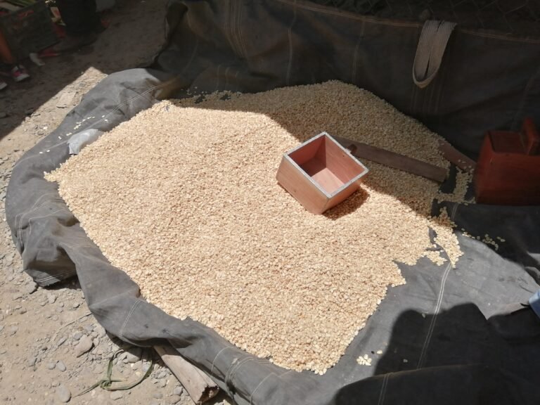 Por las nubes el precio del maíz