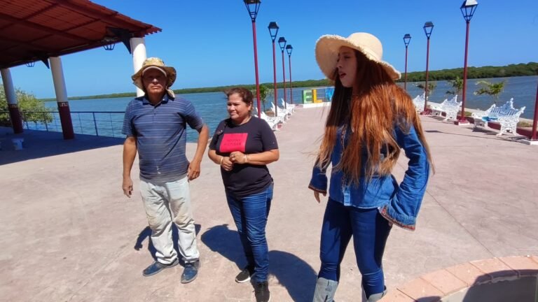 GRAN AVANCE EN LA CONSTRUCCIÓN DEL MIRADOR DEL «MANGO» EN CONGREGACIÓN PRIMERO DE MAYO