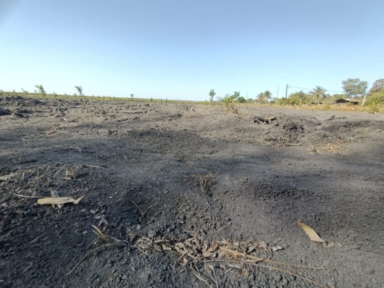 20 mil habitantes de la zona ejidal afectados por la falta del vital líquido