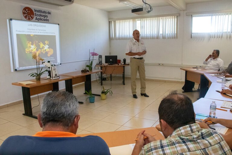 Promueve UAT el cultivo y conservación de orquídeas