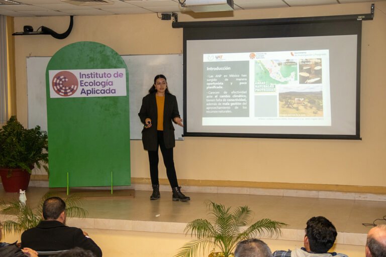 Realiza UAT estudios para proteger ruta migratoria de la mariposa monarca