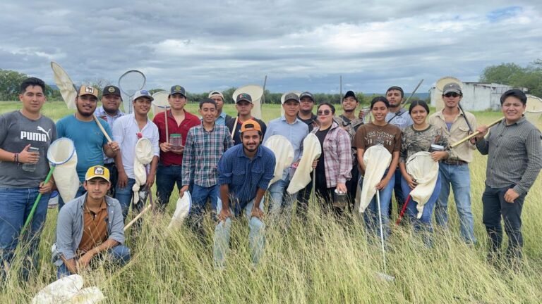 Científicos de la UAT publican avances de investigación en entomología agrícola