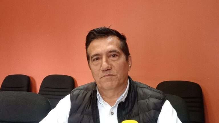 Inicia colecta de pinos navideños para transformarlos en abono para las plantas